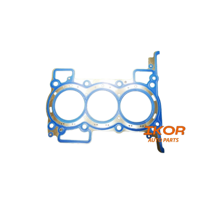 TRIBER HEAD GASKET